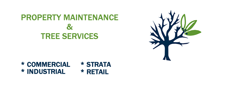 PROPERTY MAINTENANCE